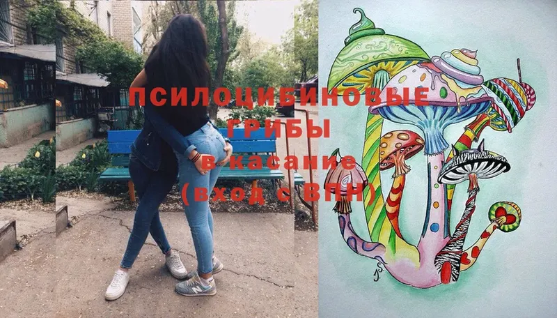 Псилоцибиновые грибы мицелий  omg сайт  Кольчугино  сколько стоит 